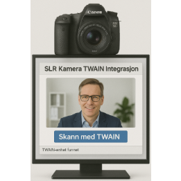 slr+twain.png