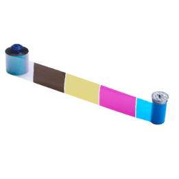 513382-201.jpg